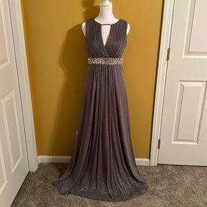 Dazzling Onyx Nite Gown in a Sparkly Silver